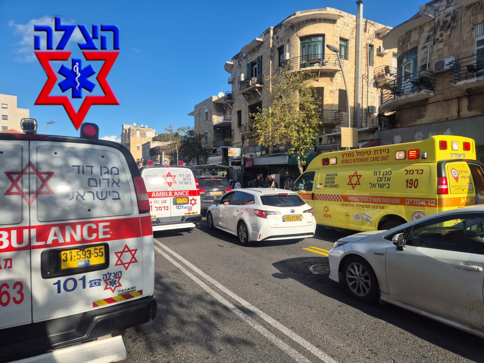 חיפה: הולכת רגל פונתה במצב קשה לאחר שנפגעה מרכב